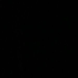 Meet your Posher, Logan